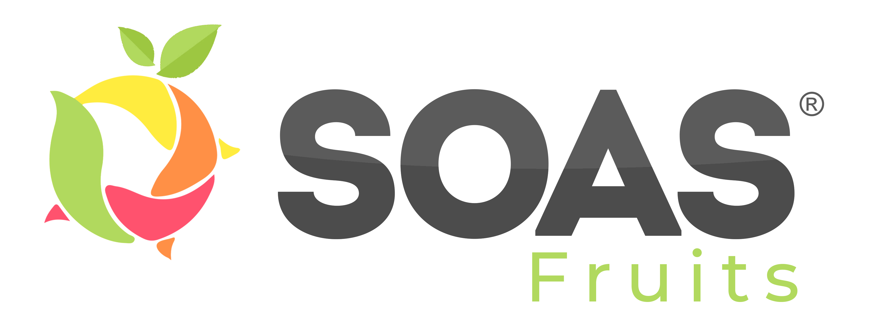 soas logo